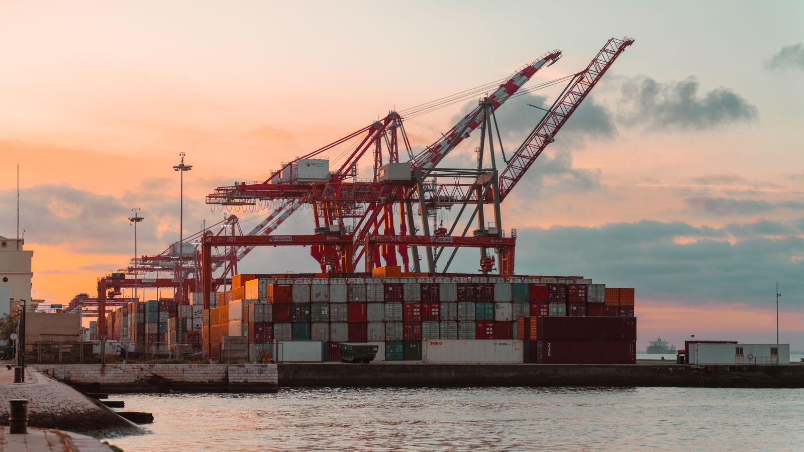 Container port at sunset — gantry cranes above a stacked container yard