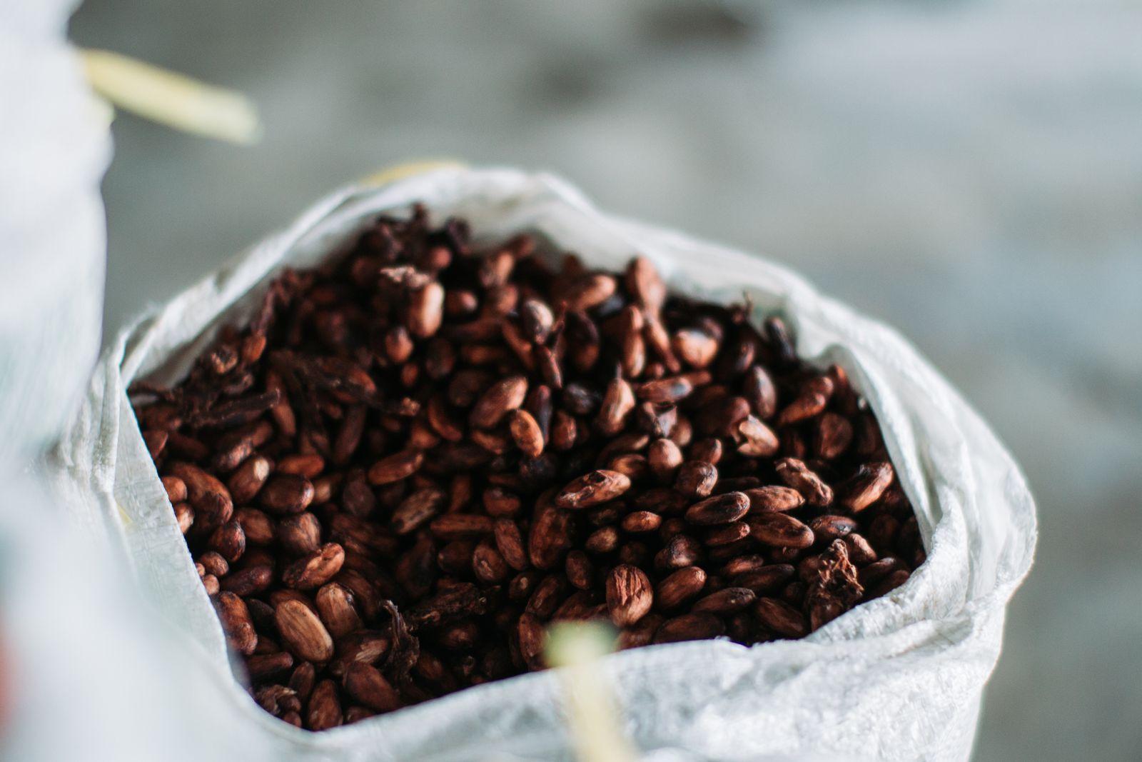 Cocoa beans in an open woven export sack